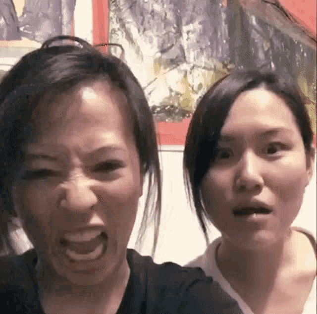 two women are making funny faces at the camera while standing next to each other .