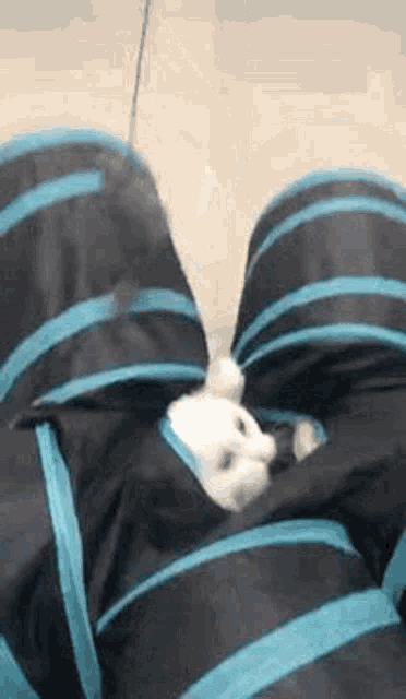 a white kitten is laying in a black and blue tunnel .