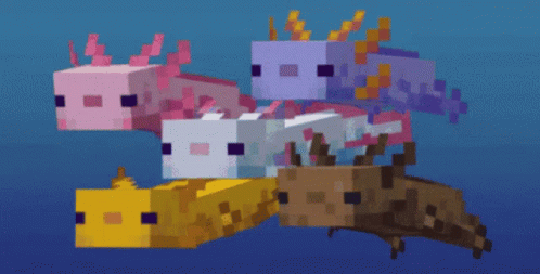 Minecraft Axolotl GIF - Minecraft Axolotl Swimming GIFs