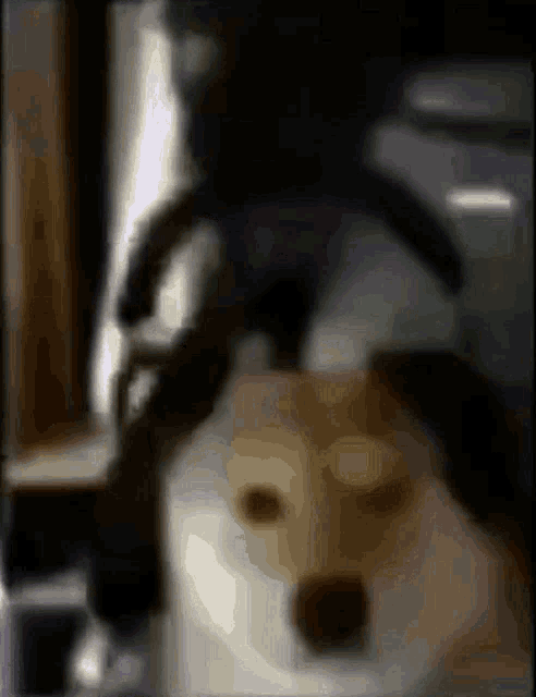 a blurry picture of a dog and a cat in a dark room