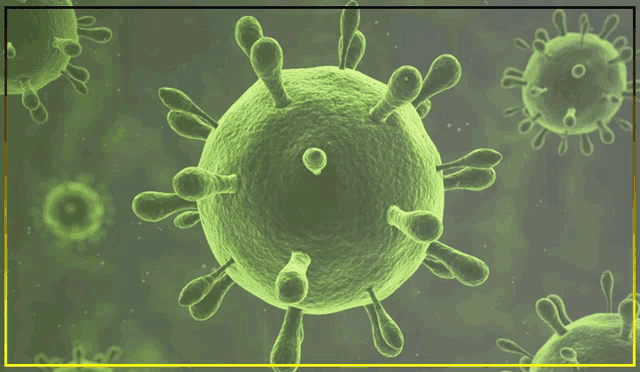 an air purifier for killing bacteria is advertised on a website