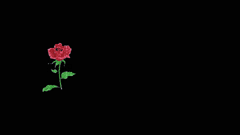 a red rose is surrounded by water bubbles and the words " سبحان الله " in red