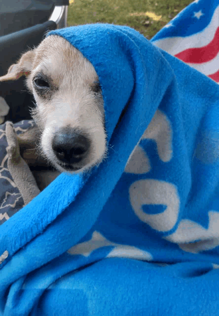 a small dog is wrapped in a blue blanket that says good on it