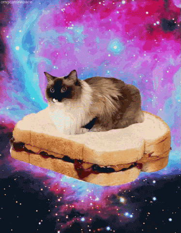 Happy Pb&J Day! GIF