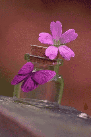 a purple flower and a butterfly in a glass bottle with the name asu on the bottom