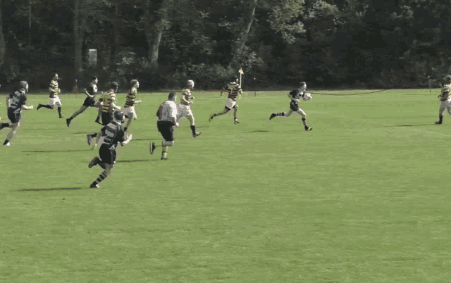 a rugby game is being played on a field with a player wearing a black jersey