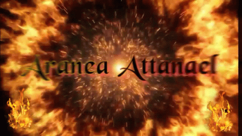 Aranea Attanael GIF - Aranea Attanael Aranea Attanael GIFs