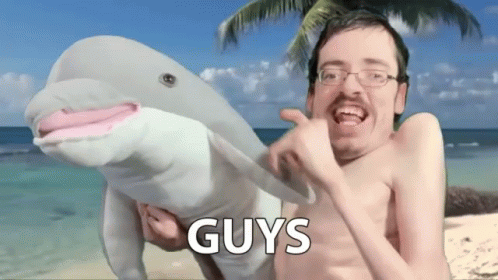 Guys Pet GIF - Guys Pet Dolphin GIFs