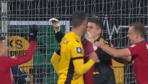 a group of soccer players are fighting each other in front of a goal .