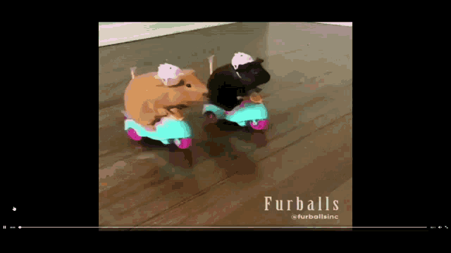 two guinea pigs are riding scooters on a wood floor