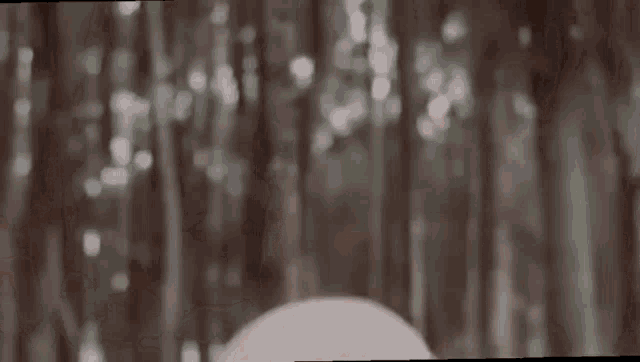 a close up of a woman wearing a pink hijab in a forest .