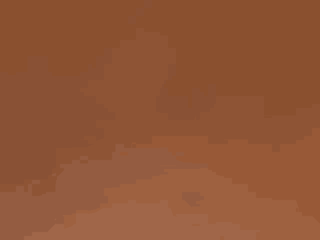 a close up of a brown background with a plain texture