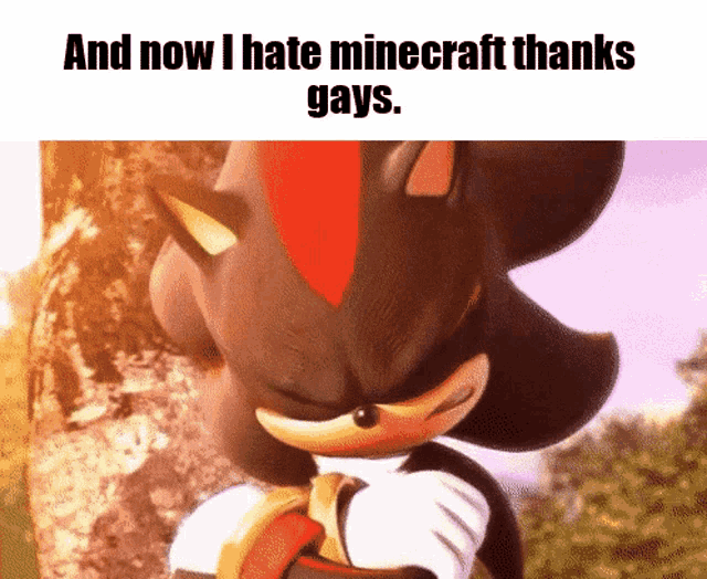 a picture of shadow the hedgehog with the words " and now i hate minecraft thanks gays " on the bottom