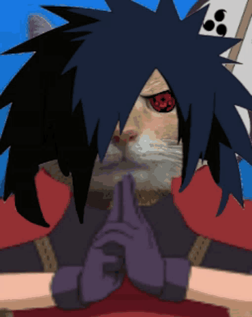 a cat with red eyes is wearing purple gloves and has black hair