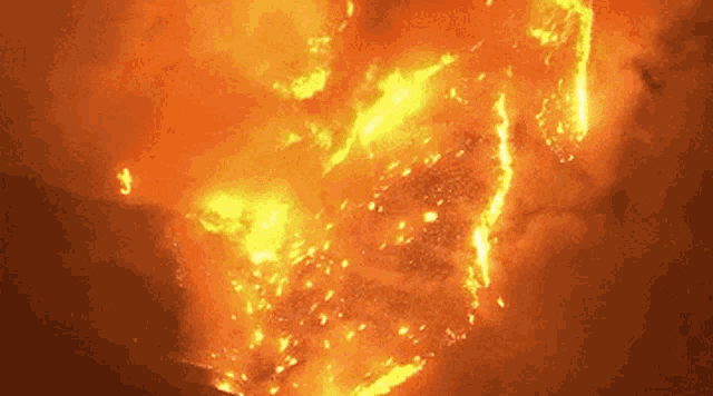 Forrest Fire GIF