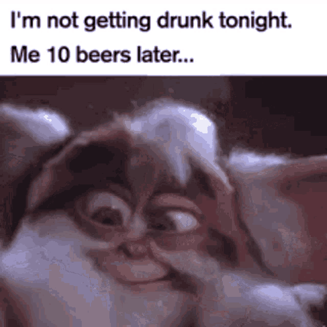 Im Not Getting Drunk Tonight Shitfaced GIF - Im Not Getting Drunk Tonight Shitfaced Totally GIFs