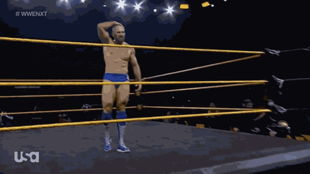 a shirtless wrestler in a wrestling ring with the usa logo on the bottom