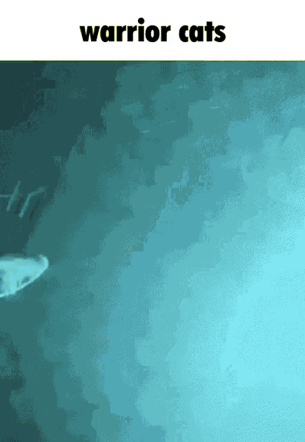 a warrior cats poster with a picture of a shark in the water