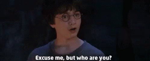 Harry Potter Who Are You GIF - Harry Potter Who Are You GIFs