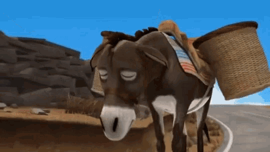 a donkey with a basket on its back is sleeping