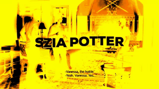 a poster for szia potter shows a man and a woman