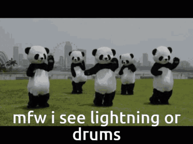 a group of panda bears are dancing in a field with the words mfw i see lightning or drums below them