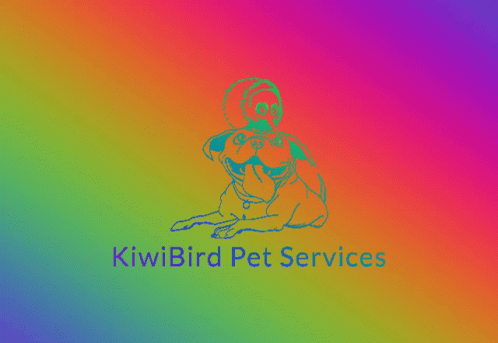 Kiwibird Pet Services Cranston GIF - Kiwibird Pet Services Cranston Rhode Island GIFs