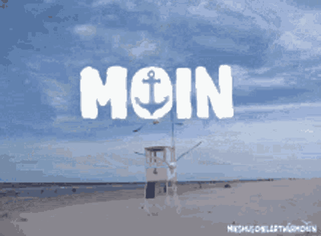 seagulls flying over a beach with the word moin written in white