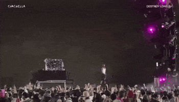 a crowd of people at a concert with the words coachella on the bottom left