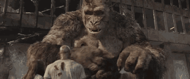 a giant gorilla standing next to a man in a white shirt
