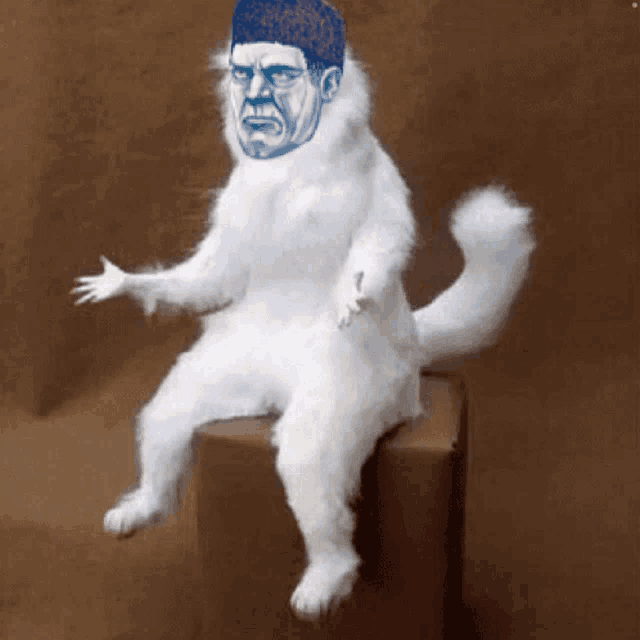 a white cat with a blue face on it