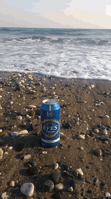 Cerveza Efes GIF - Cerveza Efes Sea GIFs