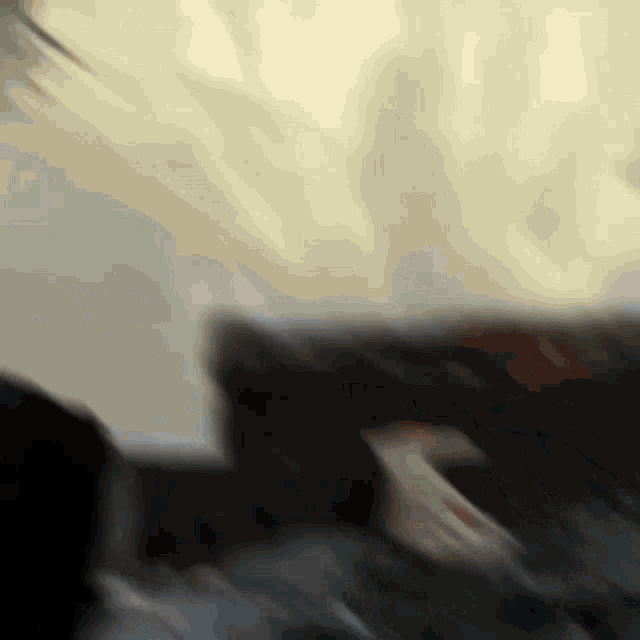 a blurry picture of a person laying on a bed