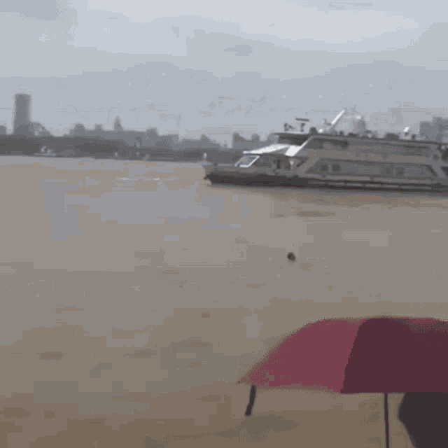 Lifebuoy Dog GIF - Lifebuoy Dog Ship GIFs