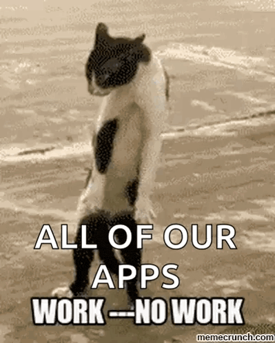 a cat is standing on its hind legs on a beach with the caption all of our apps work no work