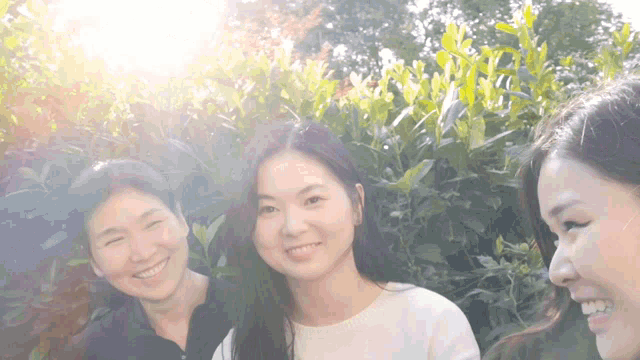 three asian women are smiling in front of a bush