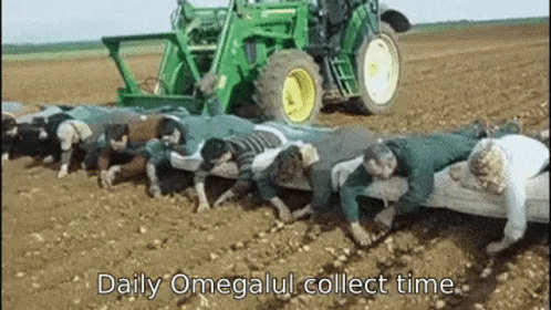 Daily Omega GIF - Daily Omega Omegalul GIFs