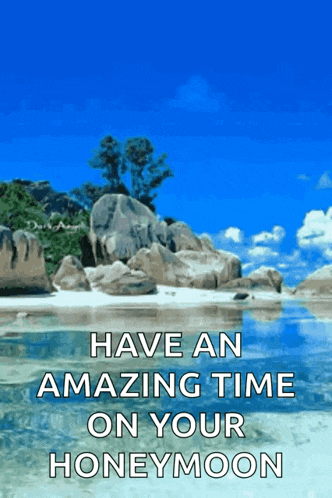 have an amazing time on your honeymoon with a beach scene