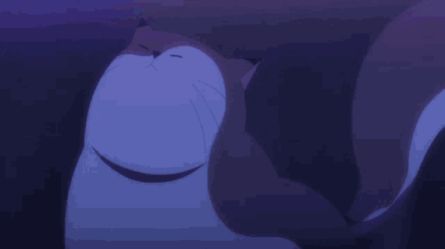 a person petting a cat 's nose in the dark