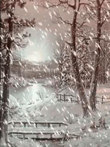 Snow Pandb GIF - Snow Pandb GIFs