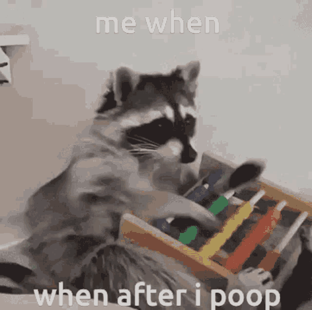 Funny Racoon GIF - Funny Racoon Me When GIFs
