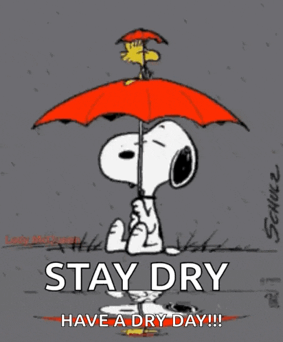 a cartoon of snoopy and woodstock holding an orange umbrella with the words stay dry have a dry day
