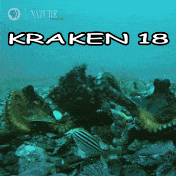 a poster for kraken 18 shows a giant octopus eating a fish