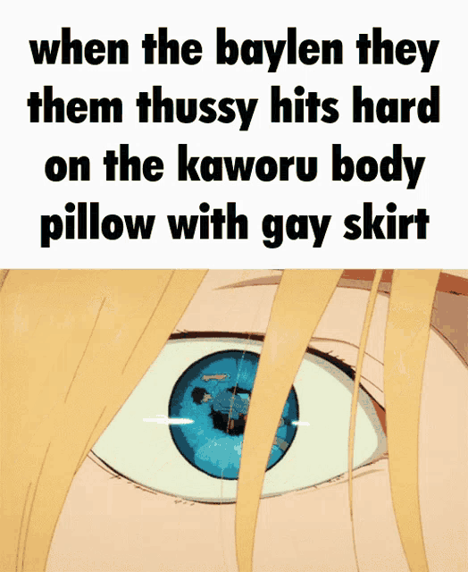 a poster that says when the baylen they them thussy hits hard on the kaworu body pillow with gay skirt on it