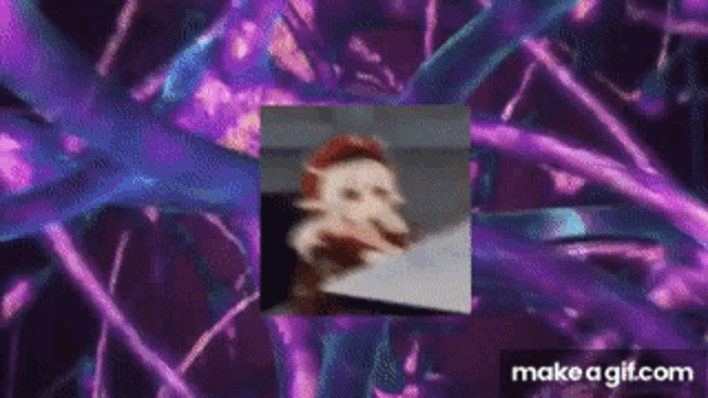 a purple and blue background with a picture of a cat in the middle .