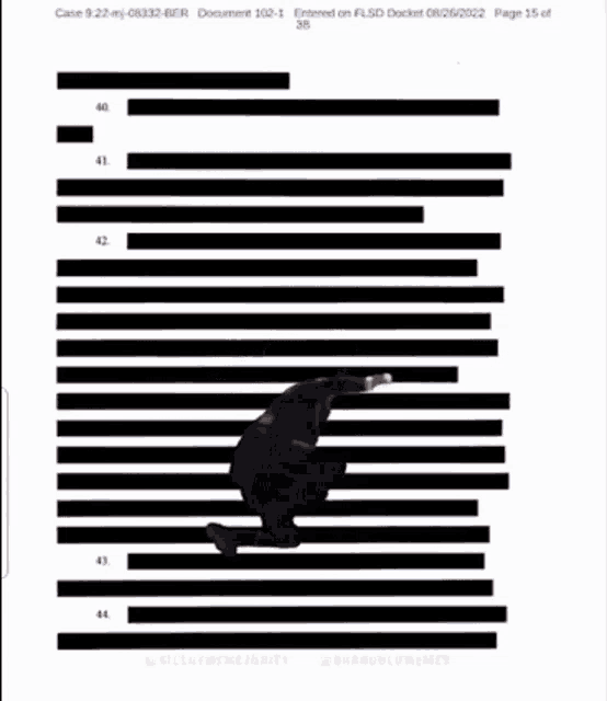 a man in a suit is standing in the middle of a page of a document