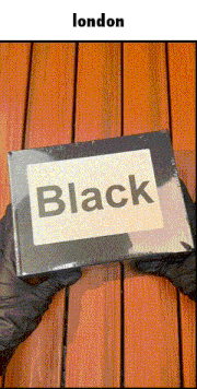 a person holding a book titled black in front of a wooden wall