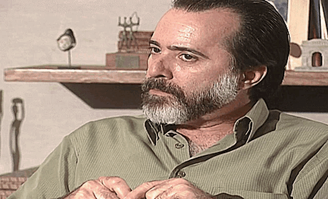 a man with a beard and a green shirt is sitting in front of a shelf