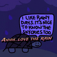 a turtle with a speech bubble that says i like rainy days