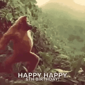 a monkey is standing on a rock in the jungle .